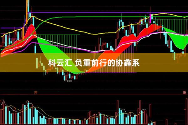 科云汇 负重前行的协鑫系