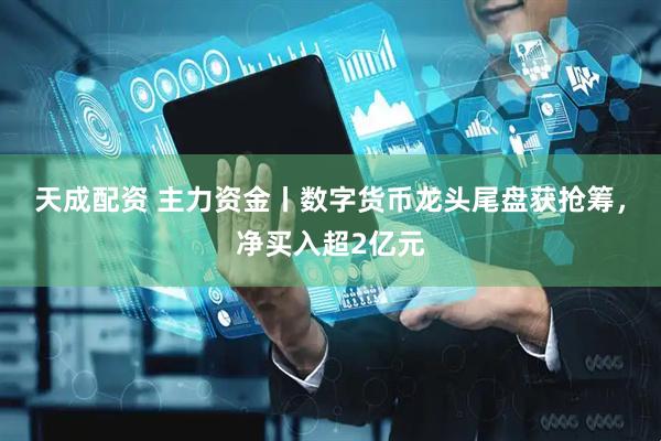 天成配资 主力资金丨数字货币龙头尾盘获抢筹，净买入超2亿元