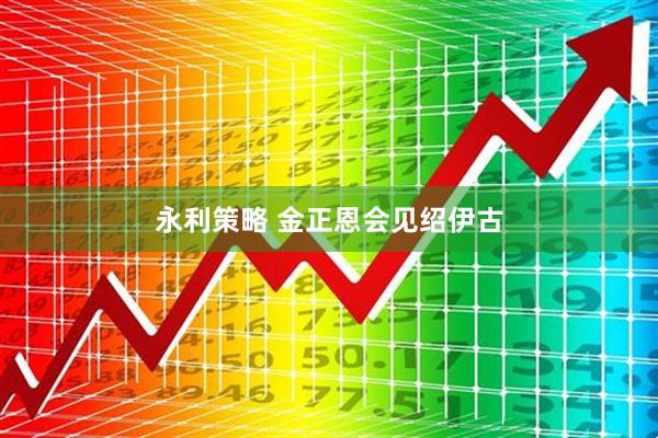 永利策略 金正恩会见绍伊古