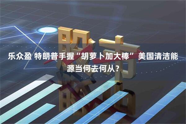 乐众盈 特朗普手握“胡萝卜加大棒” 美国清洁能源当何去何从？