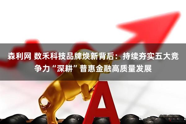 森利网 数禾科技品牌焕新背后：持续夯实五大竞争力“深耕”普惠金融高质量发展