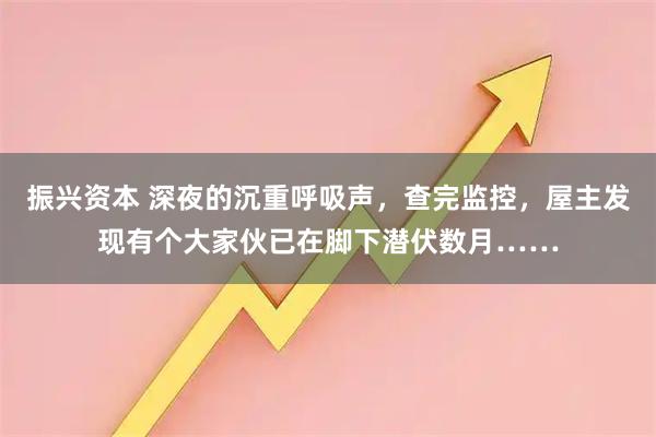 振兴资本 深夜的沉重呼吸声，查完监控，屋主发现有个大家伙已在脚下潜伏数月……