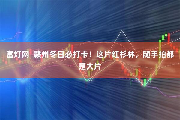 富灯网  赣州冬日必打卡！这片红杉林，随手拍都是大片